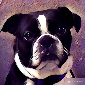 Meet your Posher, Alicia